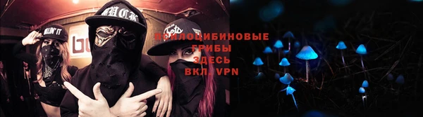 винт Нея