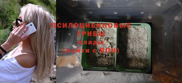 винт Нея