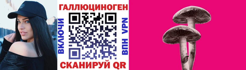 Галлюциногенные грибы Psilocybine cubensis  наркошоп  Фрязино 